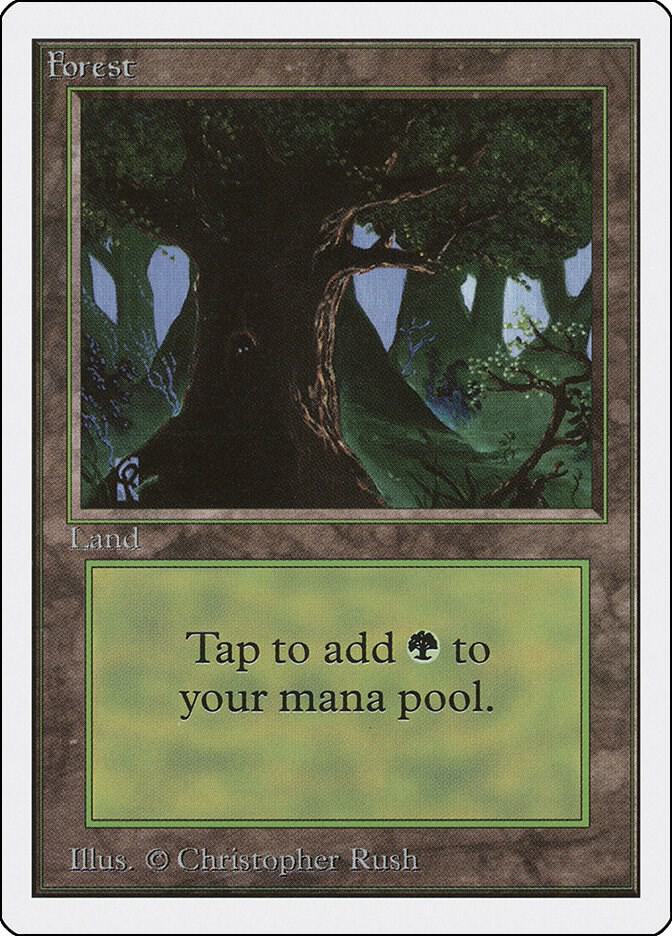 Forest C 302/302 (Unlimited Edition)  | Good Games Modbury