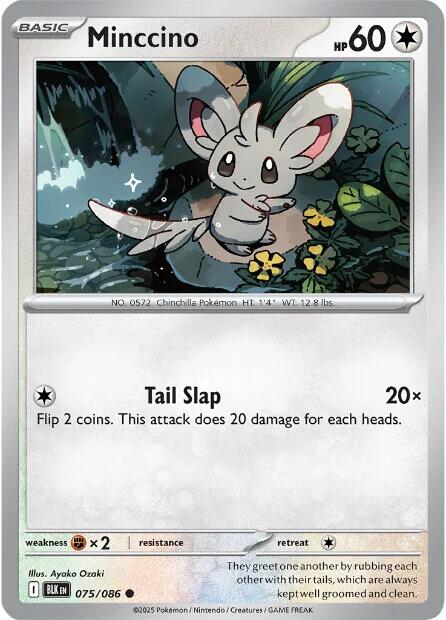 Minccino (077/086) [Scarlet & Violet: Black Bolt] | Good Games Modbury