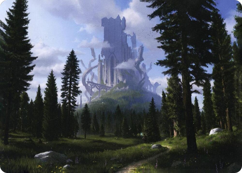 Forest 61 81 Art Card 61 (Art Series: Adventures in the Forgotten Realms)  | Good Games Modbury