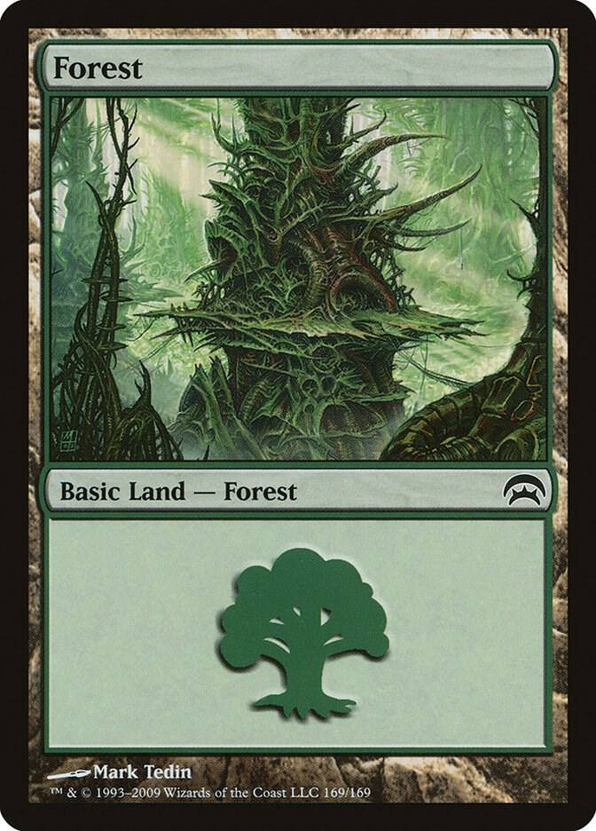 Forest 169/169 (Planechase)  | Good Games Modbury
