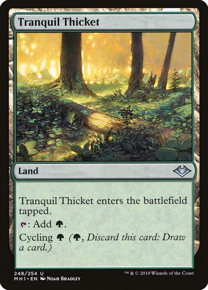 Tranquil Thicket [Modern Horizons] | Good Games Modbury