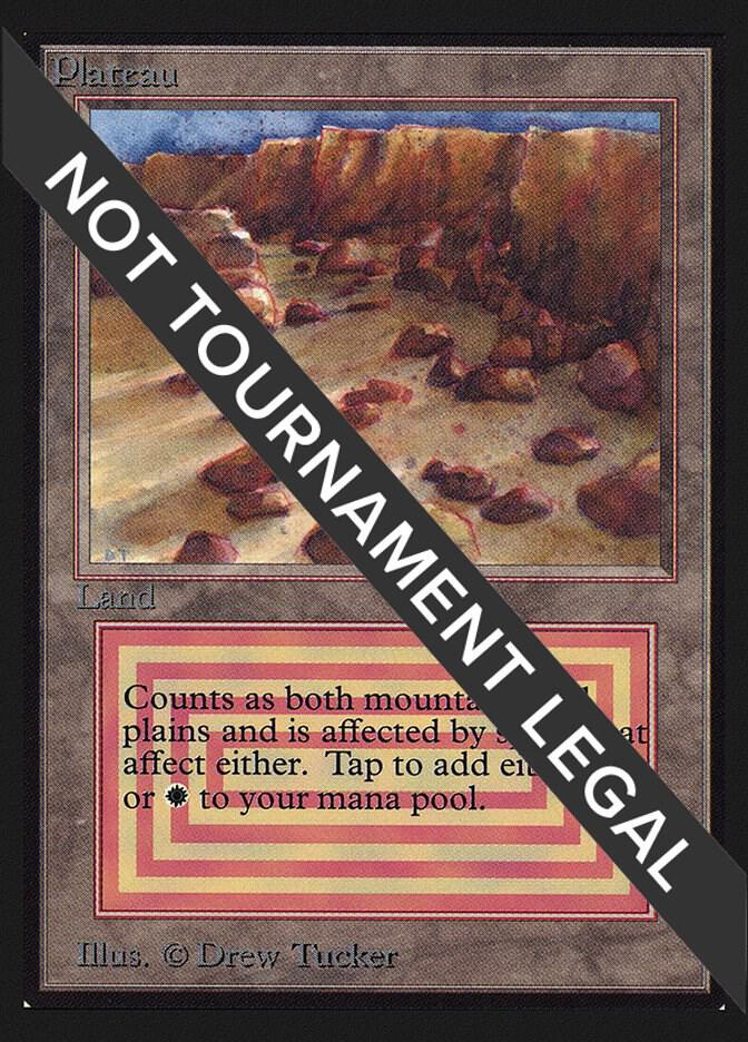 Plateau IE 280/302 (International Edition)  | Good Games Modbury