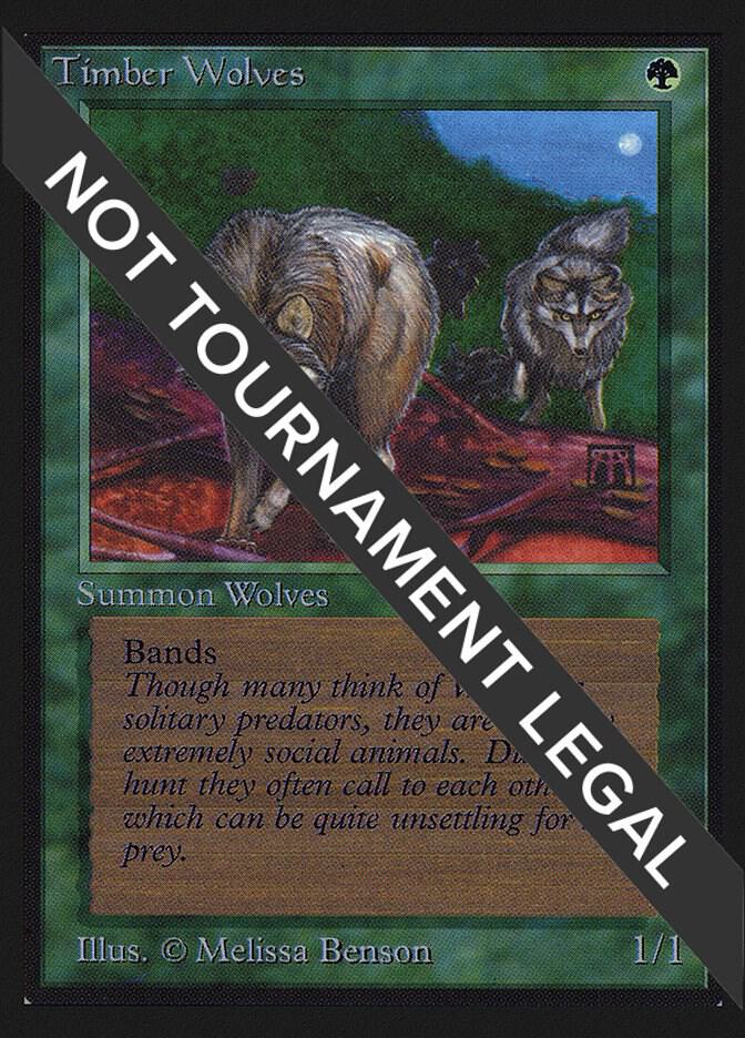 Timber Wolves CE 220/302 (Collector's Edition)  | Good Games Modbury