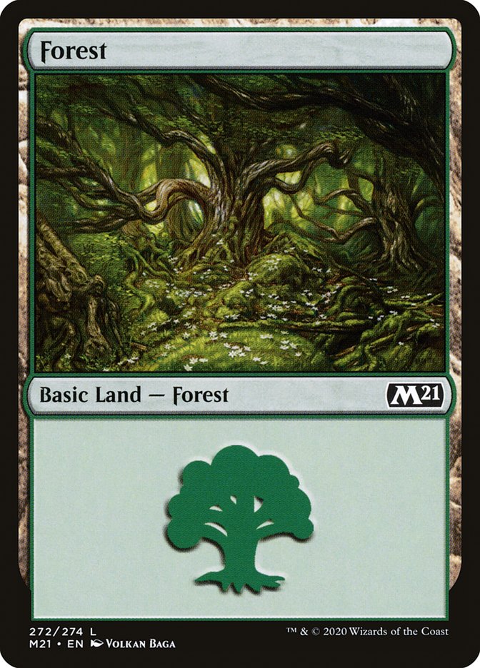 Forest (272) [Core Set 2021] | Good Games Modbury