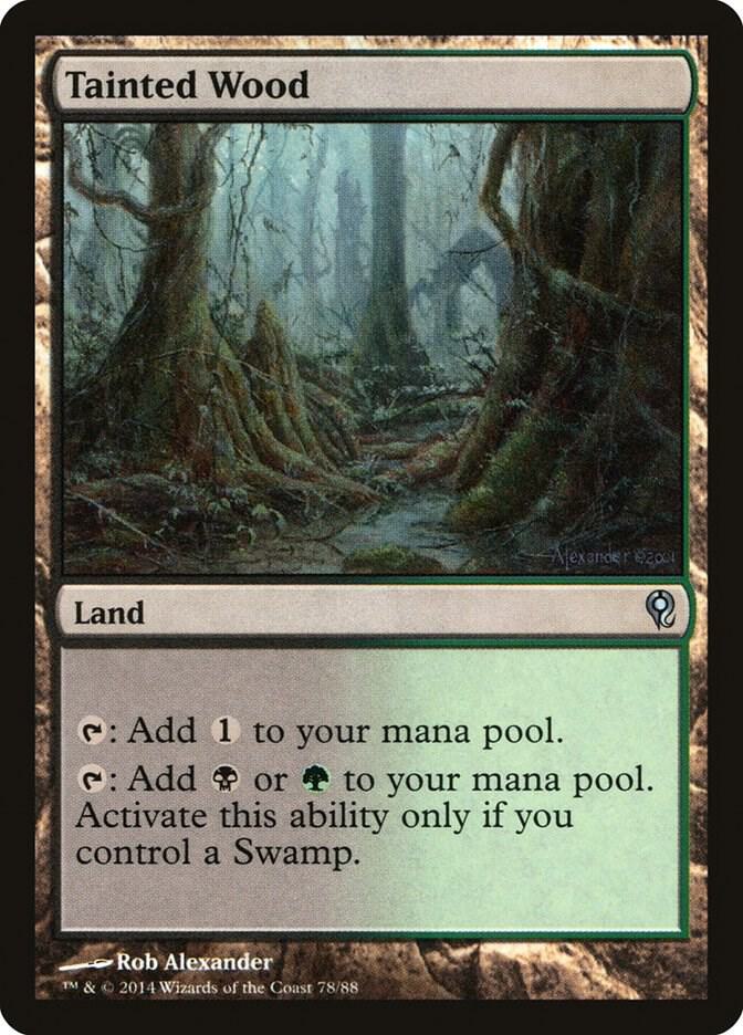 Tainted Wood 78/88 (Duel Decks: Jace vs. Vraska)  | Good Games Modbury