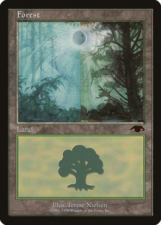 Forest 5/5 (Guru Lands)  | Good Games Modbury