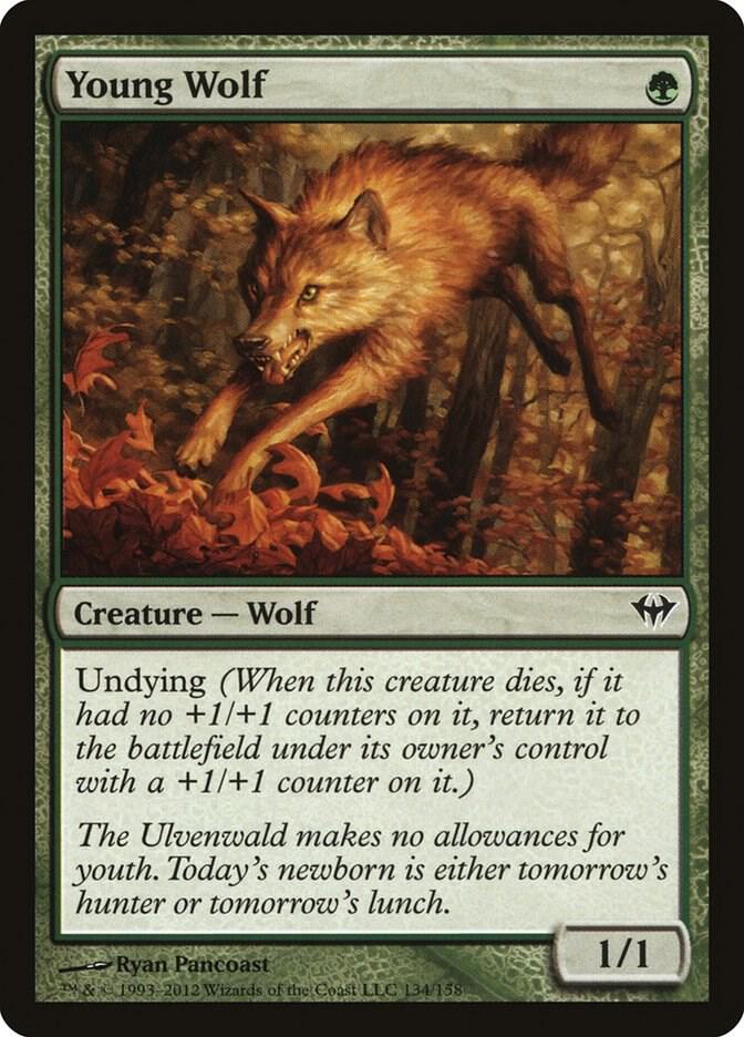 Young Wolf 134/158 (Dark Ascension)  | Good Games Modbury