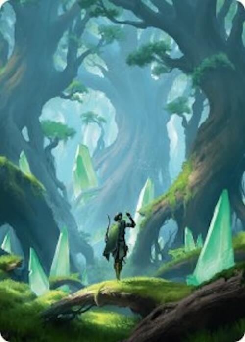 Forest Art Card 25 54 25 (Art Series: Foundations)  | Good Games Modbury