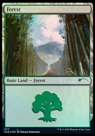 Forest (Walls) (577) [Secret Lair Drop Promos] | Good Games Modbury