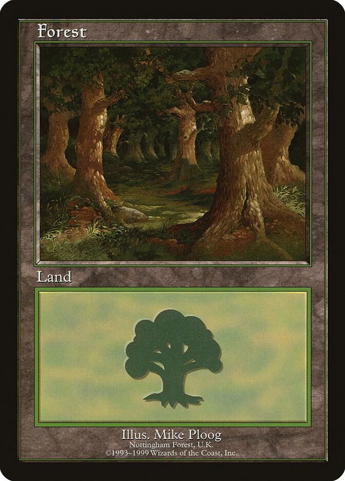 Forest 11/15 (European Lands)  | Good Games Modbury
