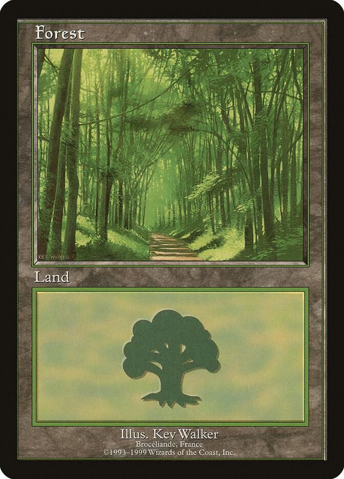 Forest 6/15 (European Lands)  | Good Games Modbury