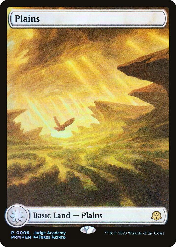 Plains 6/10 (Judge Promos)  - Full Art Foil | Good Games Modbury