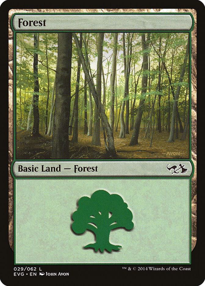 Forest 029 EVG 29/62 (Duel Decks: Anthology)  | Good Games Modbury