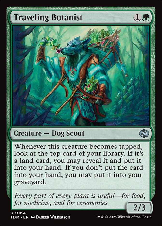 Traveling Botanist 164/291 (Tarkir: Dragonstorm)  | Good Games Modbury