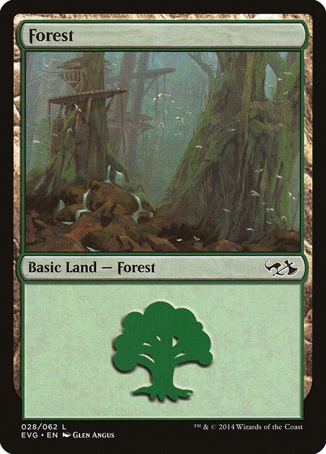 Forest 028 EVG 28/62 (Duel Decks: Anthology)  | Good Games Modbury