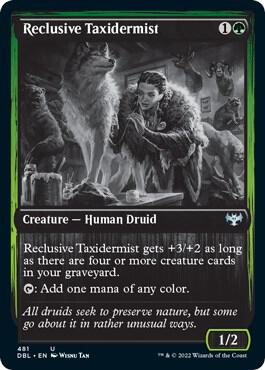 Reclusive Taxidermist 481/534 (Innistrad: Double Feature)  | Good Games Modbury