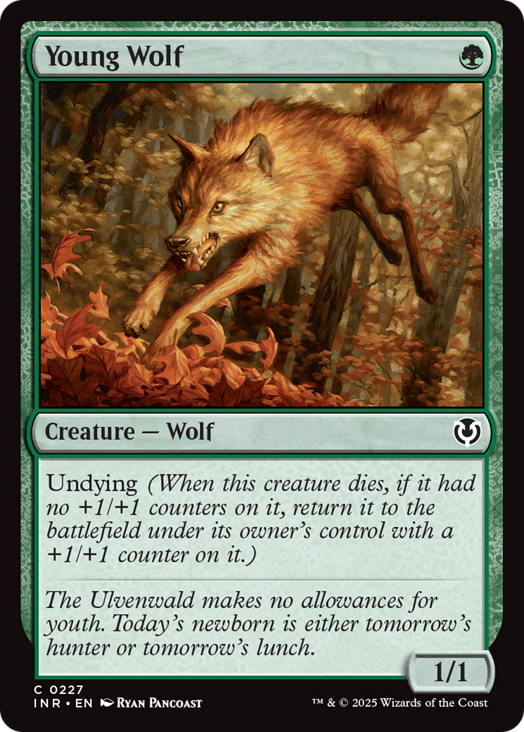 Young Wolf [Innistrad Remastered] | Good Games Modbury