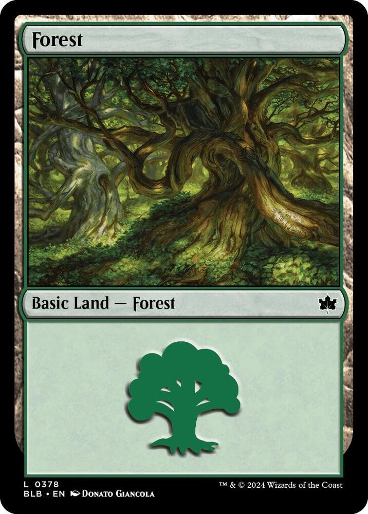 Forest 378 (Bloomburrow)  | Good Games Modbury