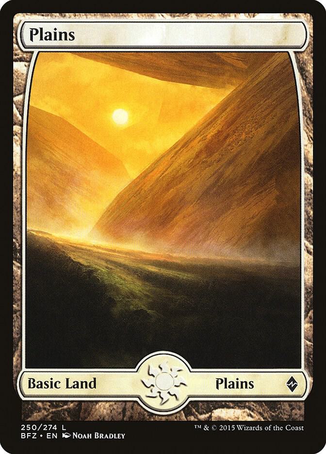 Plains 250/274 (Battle for Zendikar)  | Good Games Modbury