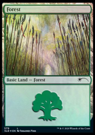 Forest (Elves) (579) [Secret Lair Drop Promos] | Good Games Modbury