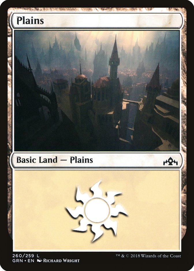 Plains (260) [Guilds of Ravnica] | Good Games Modbury