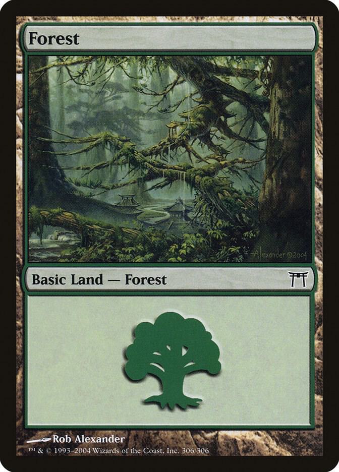 Forest 306/306 (Champions of Kamigawa)  - Foil | Good Games Modbury