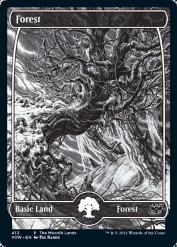 Forest (The Moonlit Lands) (Foil Etched) [Innistrad: Crimson Vow Promos] | Good Games Modbury