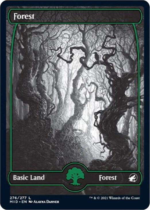 Forest 276 276 (Innistrad: Midnight Hunt)  | Good Games Modbury