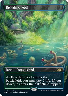 Breeding Pool Borderless 286 (Unfinity)  - Foil | Good Games Modbury