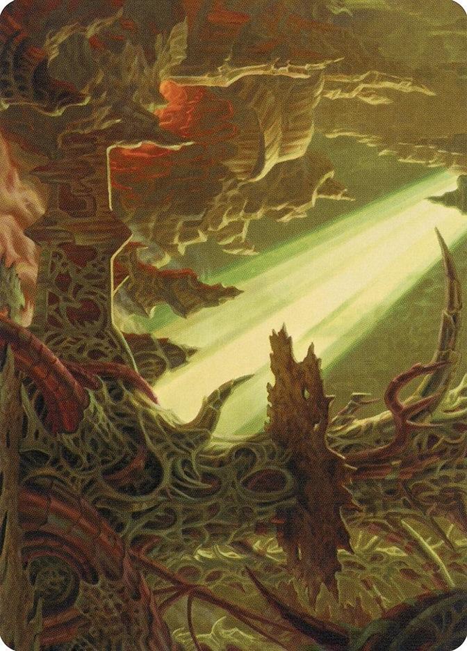 Darkmoss Bridge Art Card 72 (Art Series: Modern Horizons 2)  | Good Games Modbury