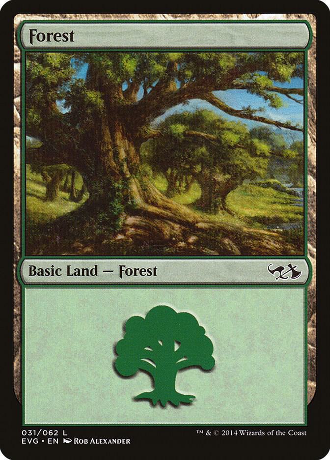 Forest 031 EVG 31/62 (Duel Decks: Anthology)  | Good Games Modbury