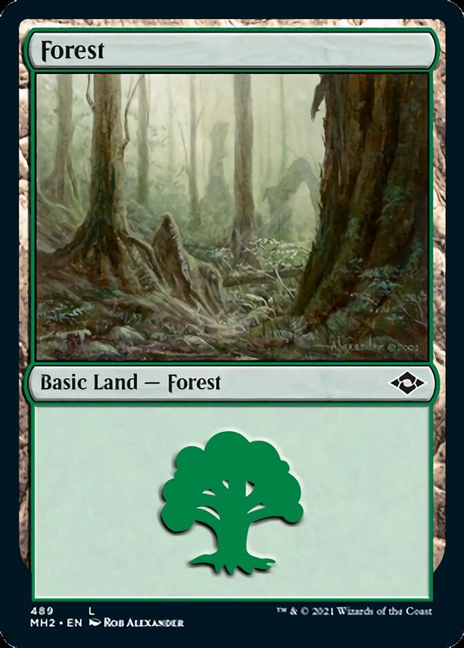 Forest (489) (Foil Etched) [Modern Horizons 2] | Good Games Modbury