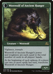 Sage of Ancient Lore // Werewolf of Ancient Hunger [Shadows over Innistrad] | Good Games Modbury