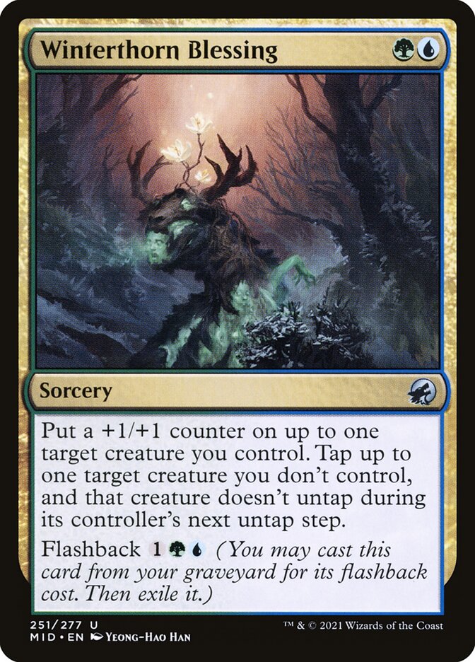 Winterthorn Blessing 251/277 (Innistrad: Midnight Hunt)  - Foil | Good Games Modbury