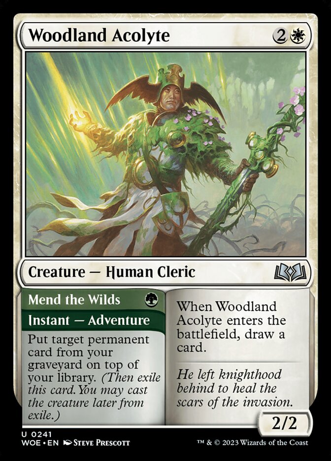 Woodland Acolyte // Mend the Wilds 241/276 (Wilds of Eldraine)  | Good Games Modbury
