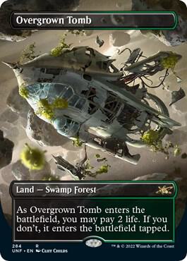Overgrown Tomb Borderless 284 (Unfinity)  - Foil | Good Games Modbury