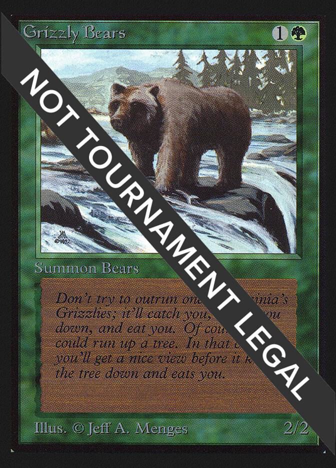Grizzly Bears IE 200/302 (International Edition)  | Good Games Modbury