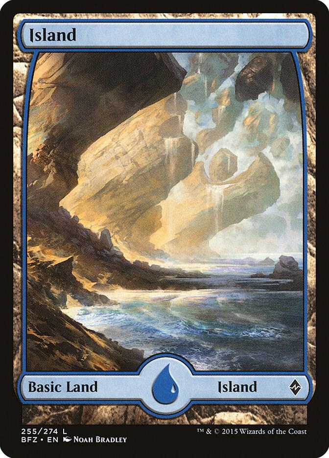 Island 255/274 (Battle for Zendikar)  | Good Games Modbury