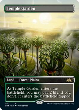 Temple Garden Borderless 281/244 (Unfinity)  | Good Games Modbury