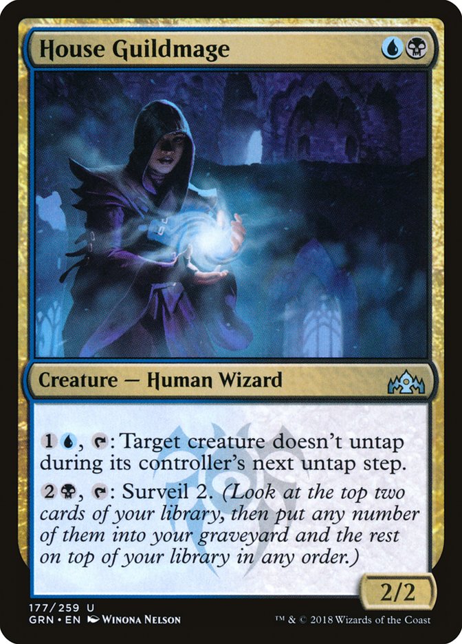 House Guildmage [Guilds of Ravnica] | Good Games Modbury