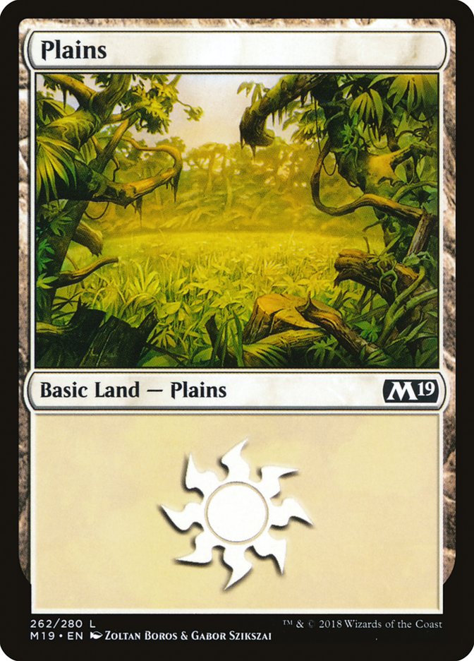 Plains (262) [Core Set 2019] | Good Games Modbury