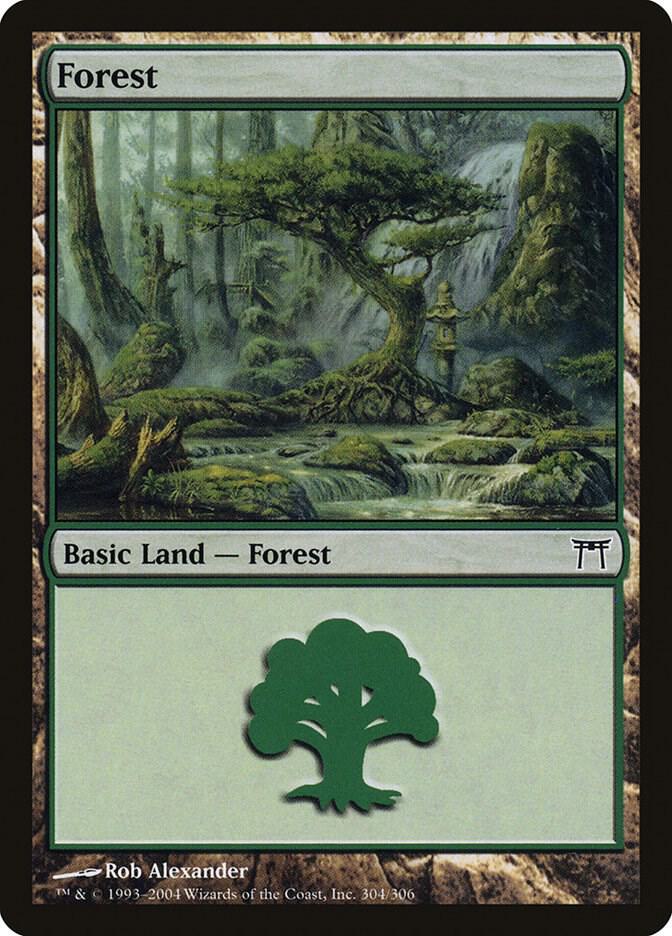 Forest 304/306 (Champions of Kamigawa)  | Good Games Modbury