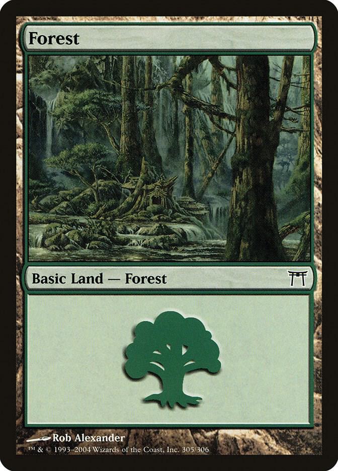 Forest 305/306 (Champions of Kamigawa)  | Good Games Modbury