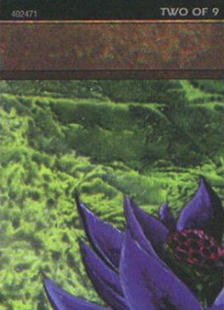 Black Lotus 2 of 9 Ultra Pro Puzzle Quest 1 (Media Promos)  | Good Games Modbury