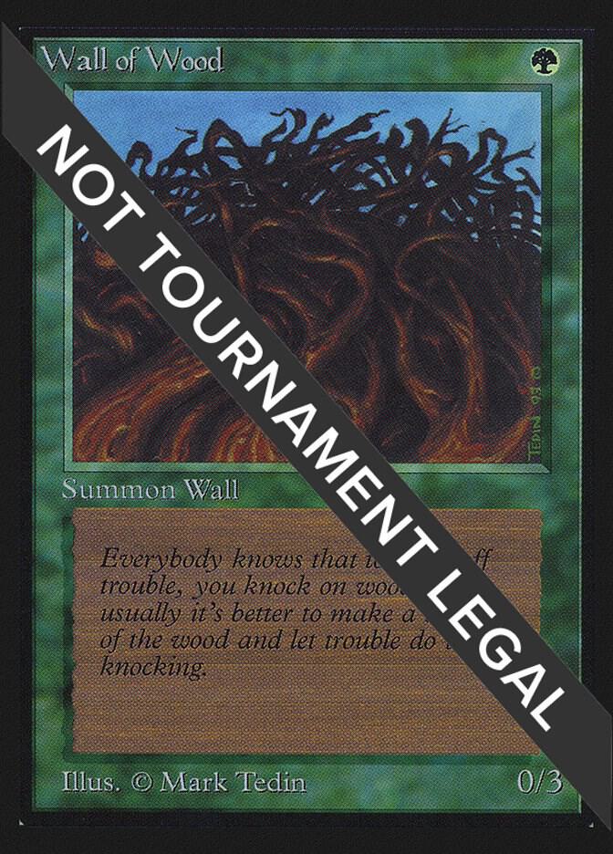 Wall of Wood IE 226/302 (International Edition)  | Good Games Modbury