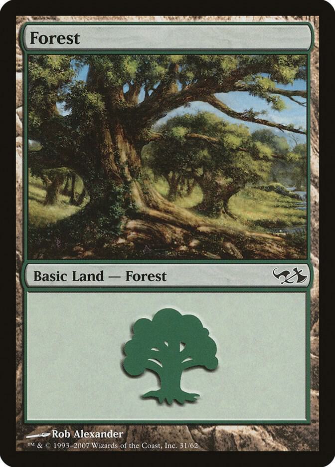 Forest 31/62 (Duel Decks: Elves vs. Goblins)  | Good Games Modbury