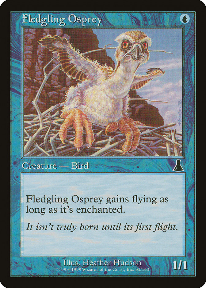 Fledgling Osprey 33/143 (Urza's Destiny)  | Good Games Modbury