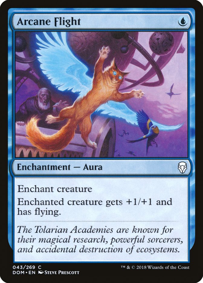 Arcane Flight 43/269 (Dominaria)  | Good Games Modbury