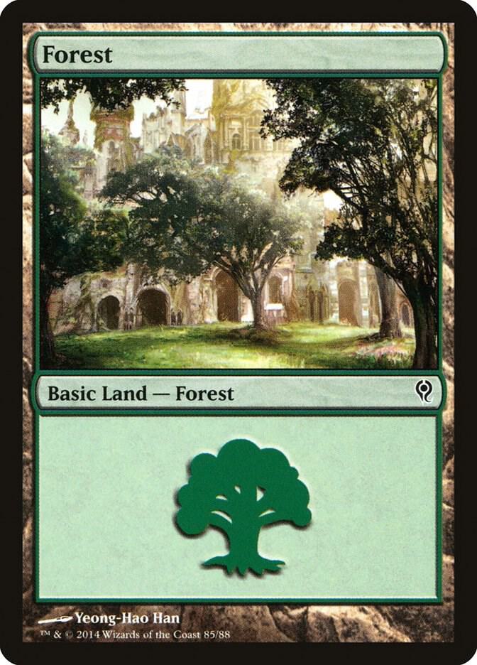 Forest 85/88 (Duel Decks: Jace vs. Vraska)  | Good Games Modbury