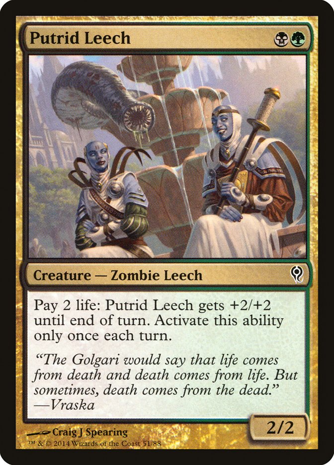 Putrid Leech 51/88 (Duel Decks: Jace vs. Vraska)  | Good Games Modbury